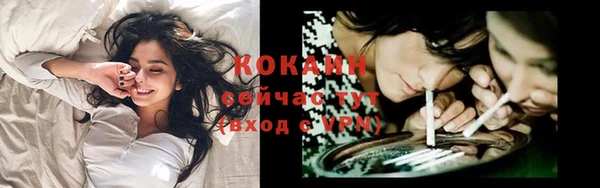 шишки Беломорск
