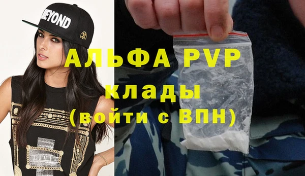 шишки Беломорск