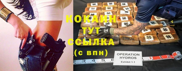 шишки Беломорск