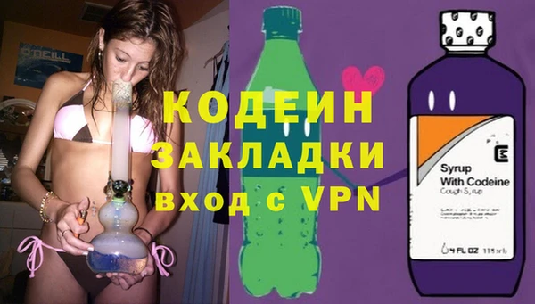 шишки Беломорск