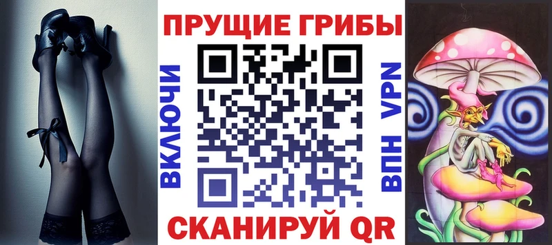 mega сайт  Полесск  Псилоцибиновые грибы Psilocybine cubensis 